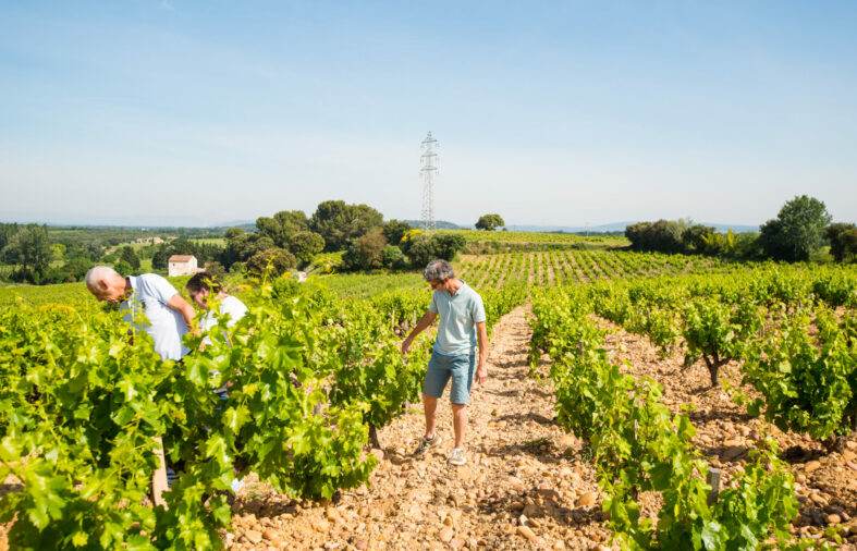 Domaine La Durbane : L’Aventure Viticole de Florence et Thomas